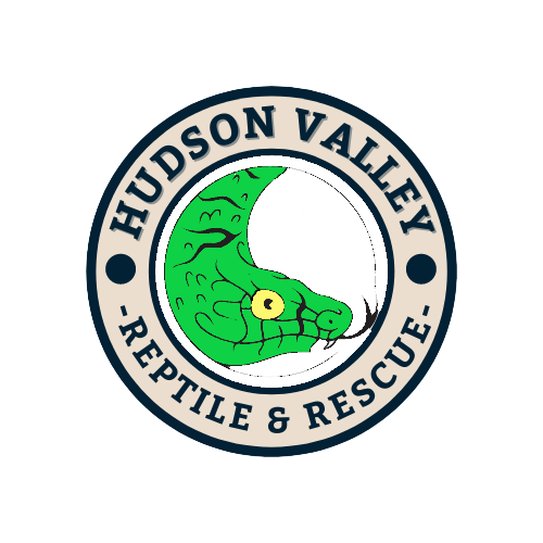 Hudson Valley Reptile & Rescue